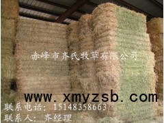 2017现货供应优质冬季畜牧草料图2