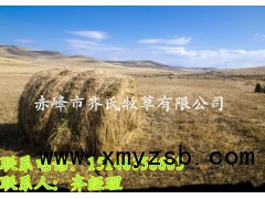 冬季畜牧过冬谷草牧草草料草块厂家现货供应中图1