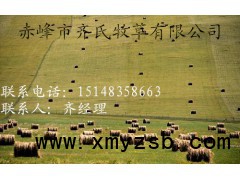 内蒙古厂家现货供应优质畜牧草料粗饲料图3