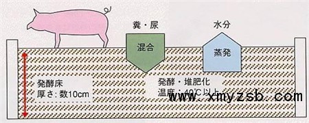 一举解决养猪废弃物的污染问题!高床养猪系统!