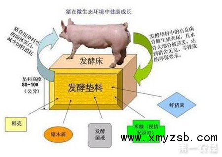一举解决养猪废弃物的污染问题!高床养猪系统!