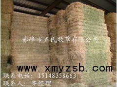 牛羊马等畜牧草料生产厂家最新价格图3