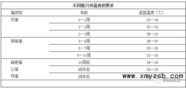 冬季猪场如何处理好保温与通风的平衡,真的两难全吗?