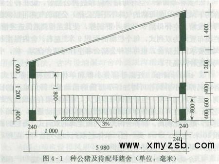 关于养猪场的猪舍类型介绍
