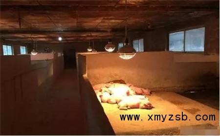 猪场取暖设施哪种方式最好？