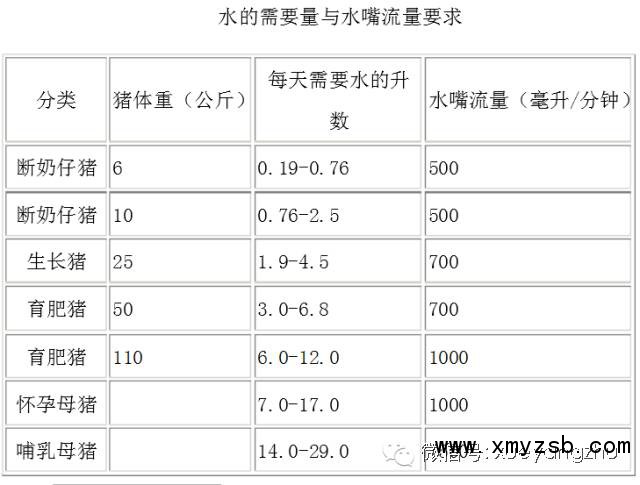 猪场饮水小秘笈!花钱不多,效益很高!
