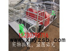 厂家供应猪用产床  ｜猪用分娩床 ｜猪用保育床 猪用定位栏图1