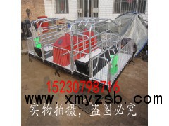厂家供应猪用产床  ｜猪用分娩床 ｜猪用保育床 猪用定位栏图2