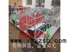 厂家供应 四川母猪产床 ｜猪产床  ｜猪用产床｜ 养猪设备系列图3