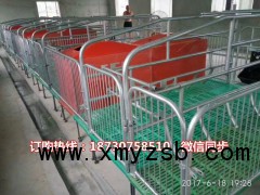 复合产仔栏最便宜的一套多少钱 猪用分娩栏价格 猪产床厂家图2