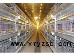鲁兴农牧养鸡自动化设备鸡笼养设备图2