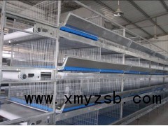 鲁兴农牧养鸡自动化设备鸡笼养设备图3