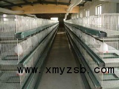 养鸭设备鸭笼设备肉鸭鸭笼图1