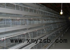 肉鸡养殖设备欣鲁兴层叠式鸡笼鲁兴农牧图1