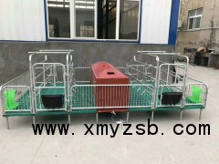 母猪产床保育床定位栏畜牧设备直销图1