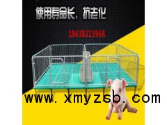 母猪产床保育床定位栏畜牧设备直销图3