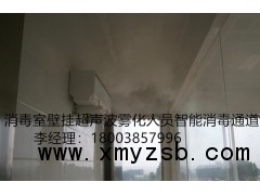 消毒室壁挂超声波雾化人员智能消毒通道，车辆智能消毒通道直销图3