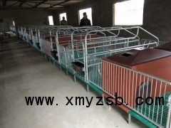 供应鸿牧腾母猪产床，定位栏，保育床等多种畜牧养殖设备图2