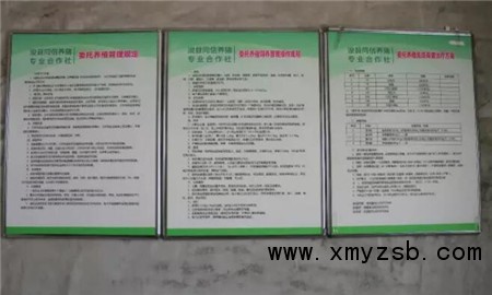 中国养猪网
