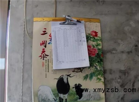 中国养猪网
