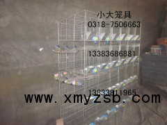 鸽子笼兔子笼鸡笼鸟笼狗笼母兔笼肉兔笼蛋鸽笼肉鸽笼狐狸笼鹌鹑笼图3
