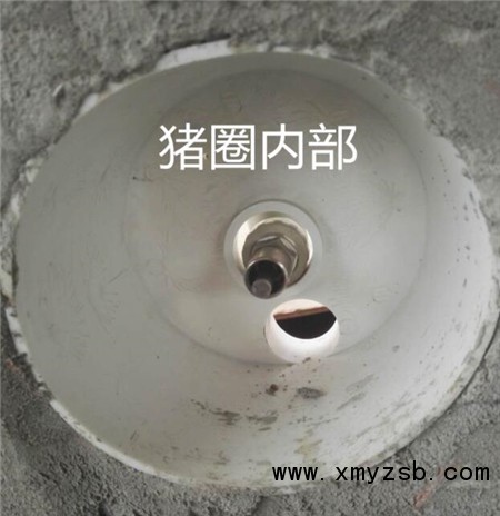 中国养猪网