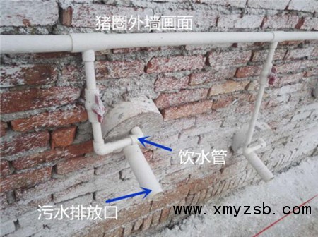 中国养猪网