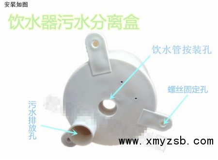 中国养猪网