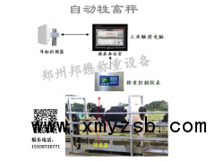 牲畜称重设备图3