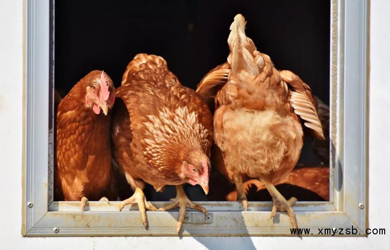 微信图片_20190705163157