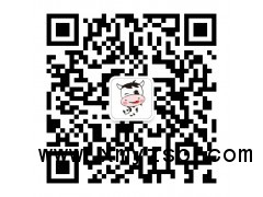 肉牛智能称重设备图1