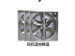 风机图2