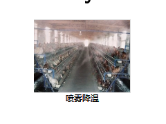自动端风机图3