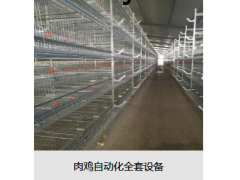 肉鸡自动化全套设备图1
