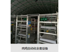 肉鸡自动化全套设备图2
