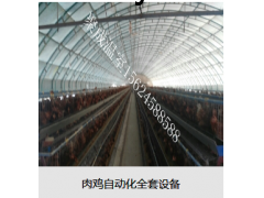 肉鸡自动化全套设备图3