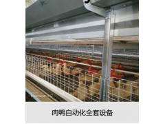 肉鸭自动化全套设备图1