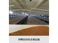 肉鸭自动化全套设备图2