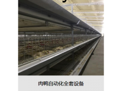 肉鸭自动化全套设备图3