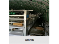养鸭设备图2