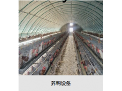 养鸭设备图3