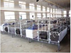 养猪设备群、养猪设备图1