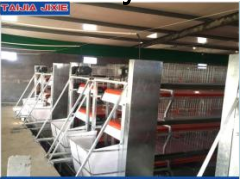 养殖场专用输送带图1
