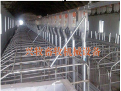 自动化养殖喂料线图1
