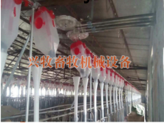 自动化养殖喂料线图3