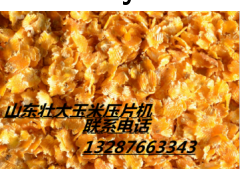 蒸汽玉米压片机图1