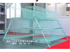 层叠蛋鸡笼图1