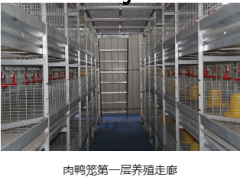 肉鸭笼图2
