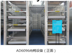 肉鸭笼图1