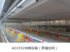 肉鸭笼图3